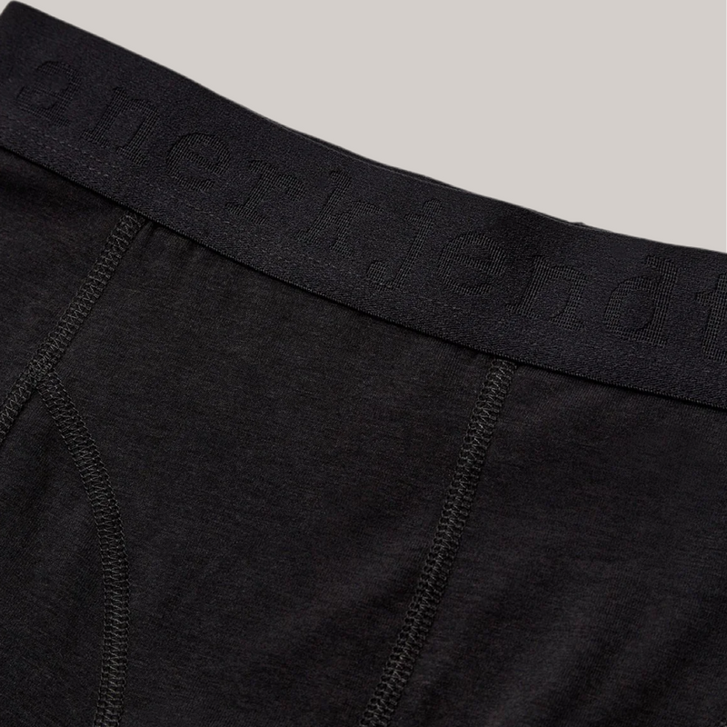 2 /Boxer anerkjendt nero